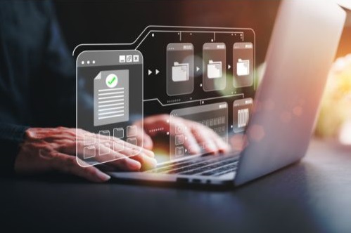 Web Development web developer doing database management